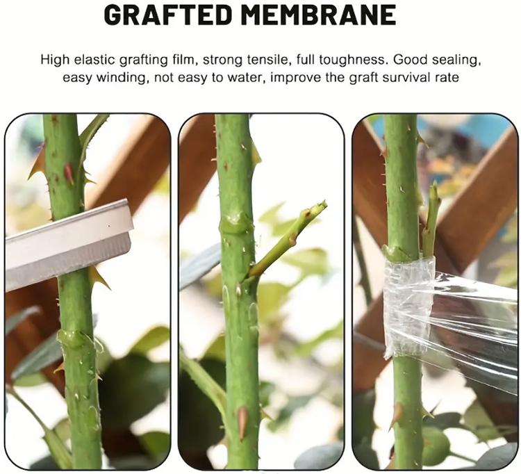 Film for plant grafting, Kile taimede pookimiseks,Эластичная плёнка для прививки садовых расений